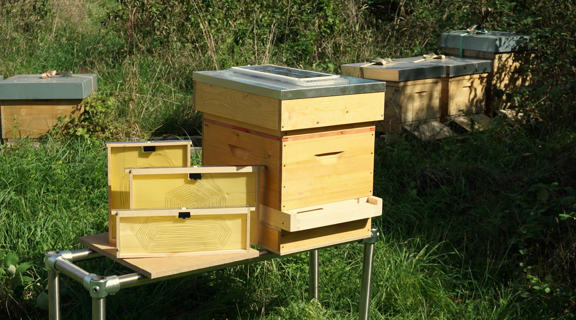 Vatorex special heating system for bee colonies