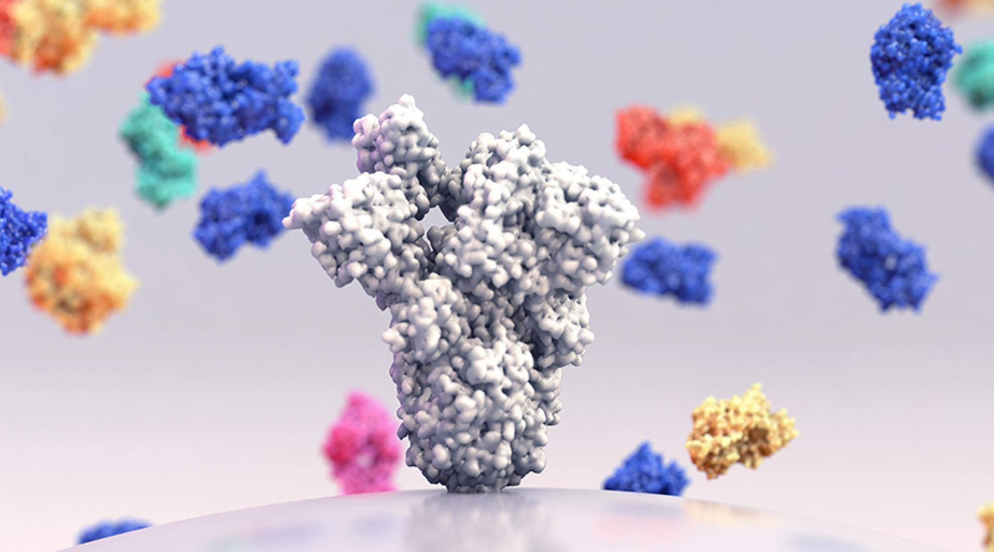 Swiss researchers discover super antibody against COVID-19
