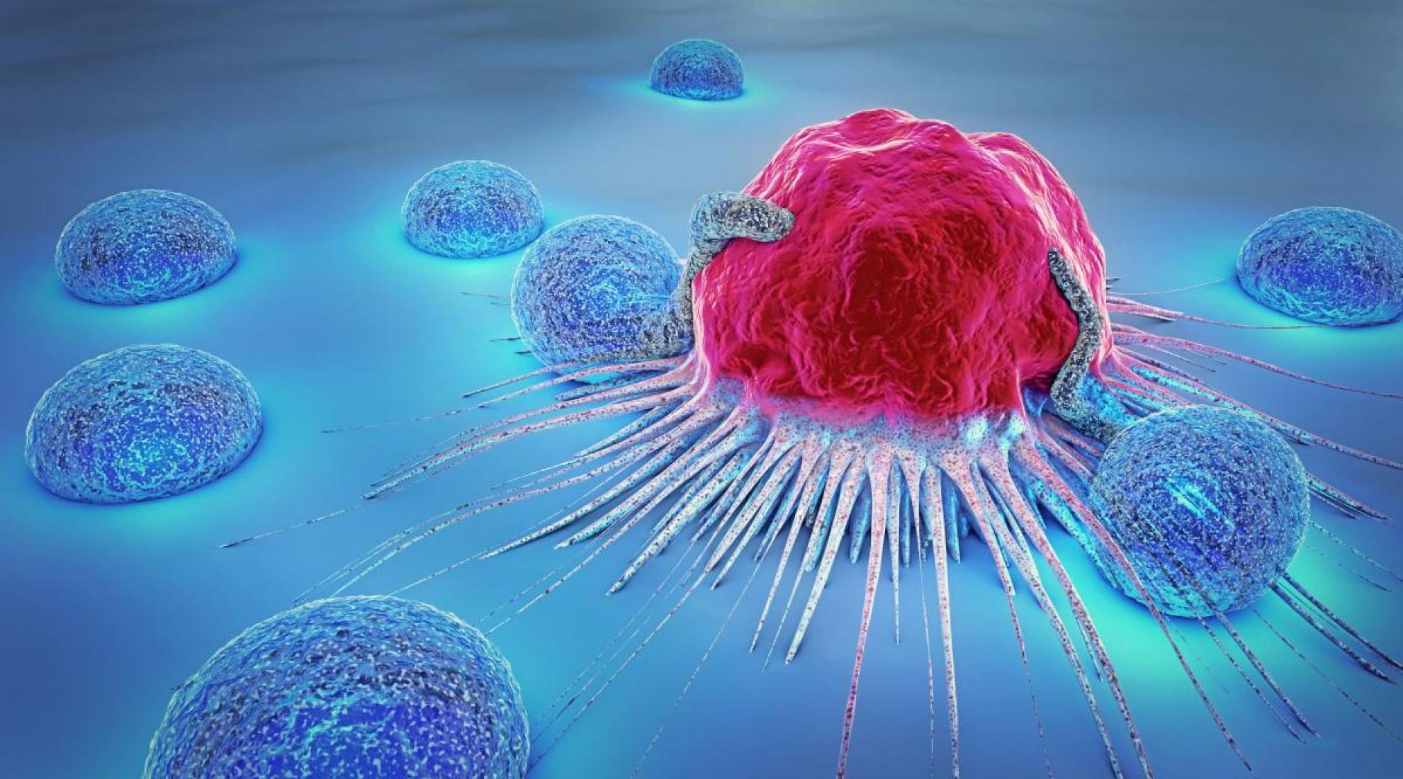 New cancer therapies