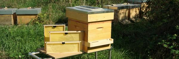 Vatorex special heating system for bee colonies